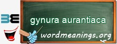 WordMeaning blackboard for gynura aurantiaca